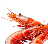 Креветка